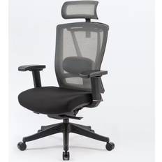 Flexispot Ergonomische Bureaustoel BS14