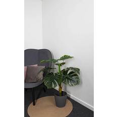 Monsteraväxt 90 cm 1 Stam Gröna Blad