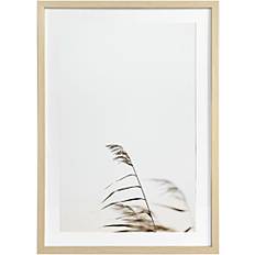 Kehystetty taide Taulu AmandaB Collection Deco Grass 2 50x70 cm
