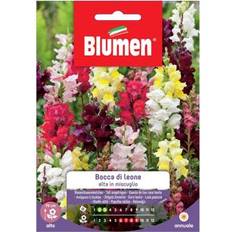 Semi di Verdura Blumen Bocca Di Leone Alta In Miscuglio 1 g