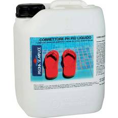 Equilibri del PH Regolatore Ph Piu Piscina Liquido 5