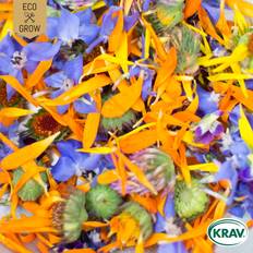 Ätbara Blommor Edible Flower Mix