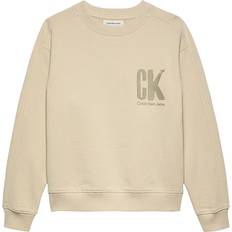 Calvin Klein Sweatshirt - Summer Baksida - Oyster Grå