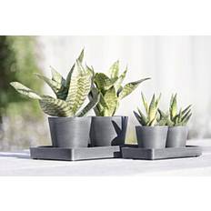 Kukkaruukun aluslautaset Ecopots Esillepanotarjotin 25cm Siniharmaa