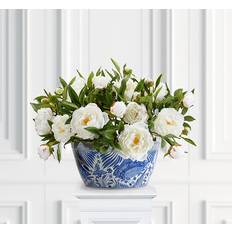 Krukor, Plantor & Odling Newport Pion Krukväxt Vit H 50 cm