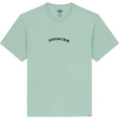 Dickies Unisex T-shirts Dickies Outdoor S/S Tee T-shirt - Grøn
