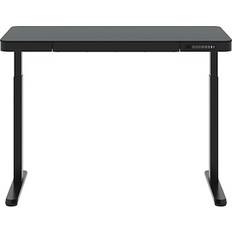 Flexispot EG9 48W Electric Adjustable Glass Top Standing Writing Desk