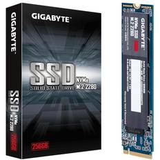 Gigabyte NVMe SSD 256 GB