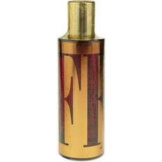 Gianfranco Ferre Gff By For Men Eau De Toilette Spray 3.4 Ounces