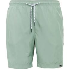 Regatta Mens Mackleyna Swim Shorts - Glacier
