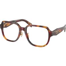 Prada Briller & Læsebriller Prada PR B07VD Asian Fit 22A1O1 56 Briller Kvinder Tortoiseshell 56mm