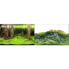 Orbit Akvariebakgrund Foto Motiv 60x30 cm