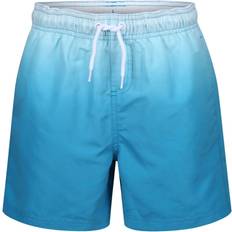 Mesh Swimwear Ript RIPT Essentials Mens Dip Dye Swim Shorts - Blue