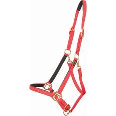 Redini e Guinzagli T.de.T Cavezza Per Cavalli T De T Biotack - Rouge