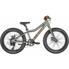 Scott Roxter 20 2022 Barncykel