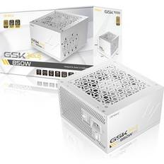 Antec GSK ATX 3.1 850W Power Supply