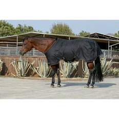 Kensington Signature Medium Weight Horse Turnout Blanket - Black