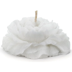 PartyDeco Flottante Cire D'Co Pivoine 8 x 4 cm Blanc Bougie 4pcs