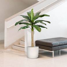 Green4Ever Banaan Kunstplant Promo 120 cm