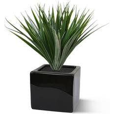 Bambu 25 cm UV