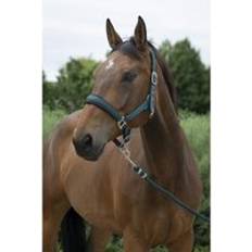 Halter And Lead Rope Set For Large Horses - Vert