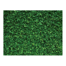 Torribaly Vinyl Green Leave Photography Backdrops