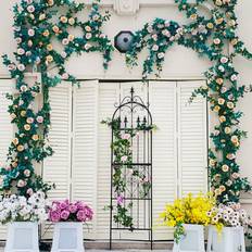 Ebern Designs Garden Trellis Metal Iron Wire Vine Flower 218cm H x 55.1cm W x 2cm D
