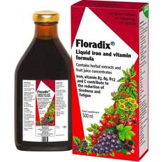 Floradix Liquid Iron and Vitamin Formula 500ml