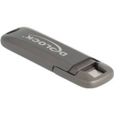 DeLock USB Flash-Enhet 256 GB