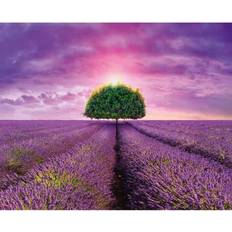 Dino Lavender Field Pussel 2000 Bitar