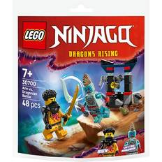 LEGO Ninjago LEGO 30700 Arins Strid Mot Dragonier