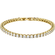 Tennis Petite Bracelet - Gold/Transparent