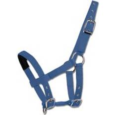 Halfter & Führstricke Waldhausen Mini-Shetty Halfter - Azurblau