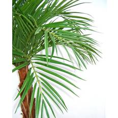 Guld Konstgjorda växter Green4Ever Guldpalm 175 cm Konstgjord växt