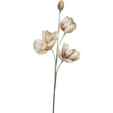 Lene Bjerre Dekoration Lene Bjerre Happia Konstblomma Stor 15x85 cm Sand Konstgjord växt