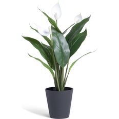 White artificial flowers Habitat Large Peace Lily - White Artificial Plant