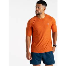 Running - Yellow T-shirts Dare 2b Men's Lightweight Power Up T-shirt - Brown