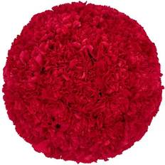 Perennials Member's Mark Carnations Hot Pink 50 Stems