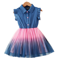 Shein Young Girl Ombre Ruffle Trim Mesh Hem Shirt Dress