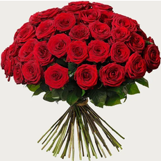 Interflora 50 Red Roses