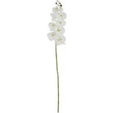 White Artificial Plants Hill Interiors Tall White Butterfly Orchid Flower L11 x W11 x H103 cm Artificial Plant