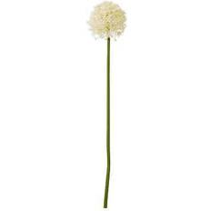 Beige Decorative Items HI Cream Medium Allium Stem Artificial Plant