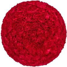 Perennials Member's Mark Carnations Red 150 Stems