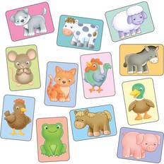 Diverse See And Sound Giant Flashcards Animal Design