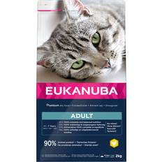 Eukanuba Adult Cat Dry Food 10kg
