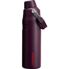 Stanley 24 oz. AeroLight IceFlow Bottle with Fast Flow Lid, Plum Water Bottle