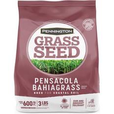 Pots, Plants & Cultivation Pennington Pensacola Bahiagrass Full Sun Grass Seed 3 lb