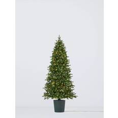 John Lewis Bala Potted Pre-lit 7ft Christmas Tree