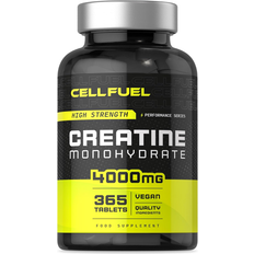Tablets Creatine Creatine Monohydrate 4000Mg 365 pcs