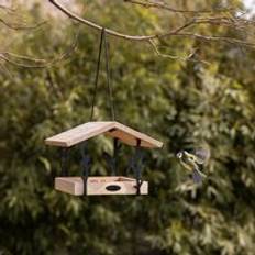 Fallen Fruits Chiffchaff Hanging Bird Table - Natural
